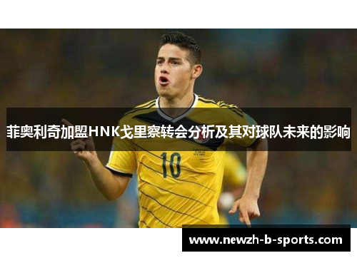 菲奥利奇加盟HNK戈里察转会分析及其对球队未来的影响