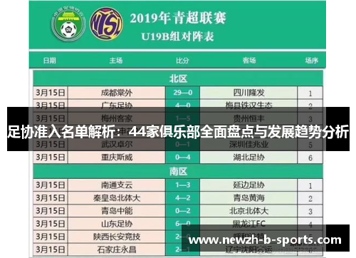 足协准入名单解析：44家俱乐部全面盘点与发展趋势分析